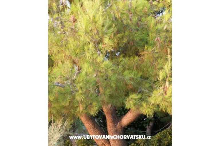 Appartementen Adrijana – foto 11