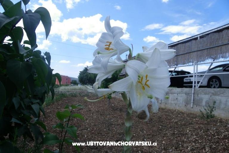 Appartementen Ante-Gojko – foto 11