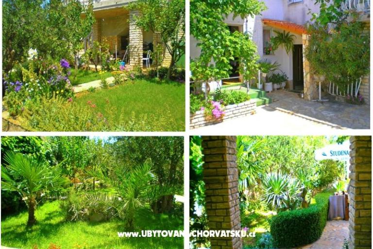 Appartementen Antić – foto 14