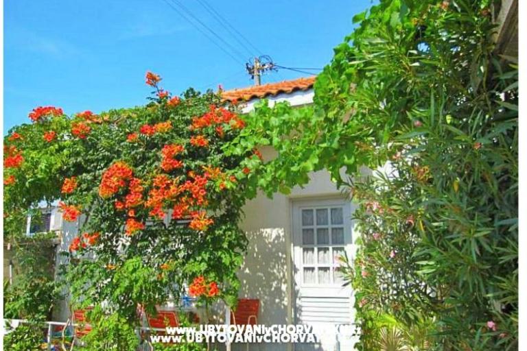 Appartementen Antić – foto 3