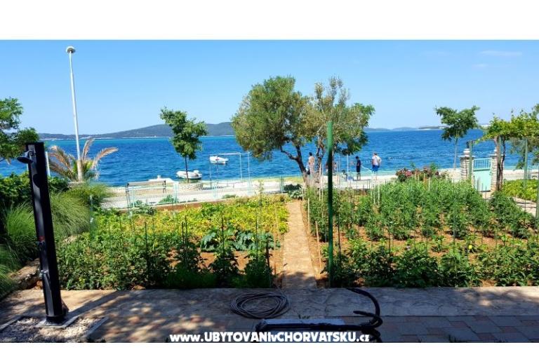Appartementen Cvita i  Luca  – foto 8