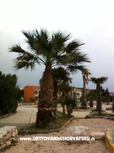Appartementen Ljiljana  – foto 9