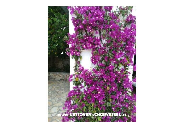 Appartementen Monika – foto 13