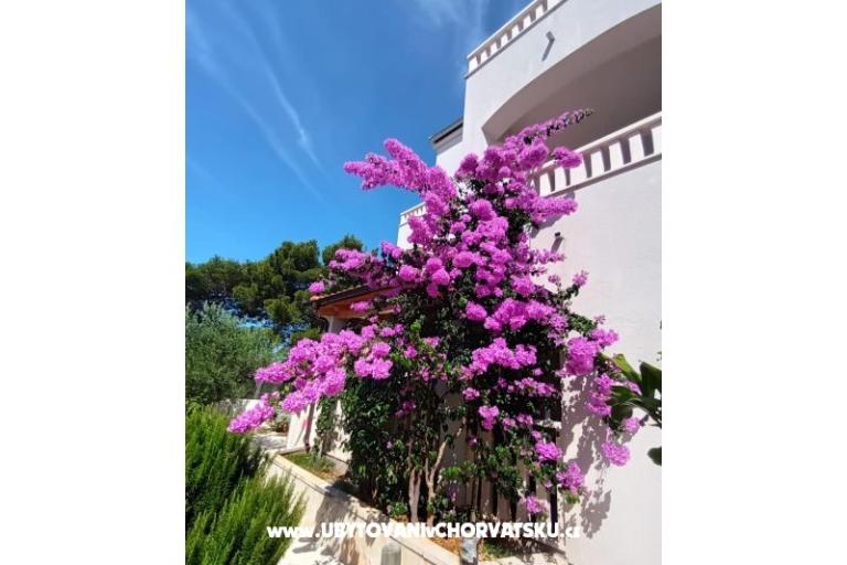 Appartementen Pinea Sol – foto 3