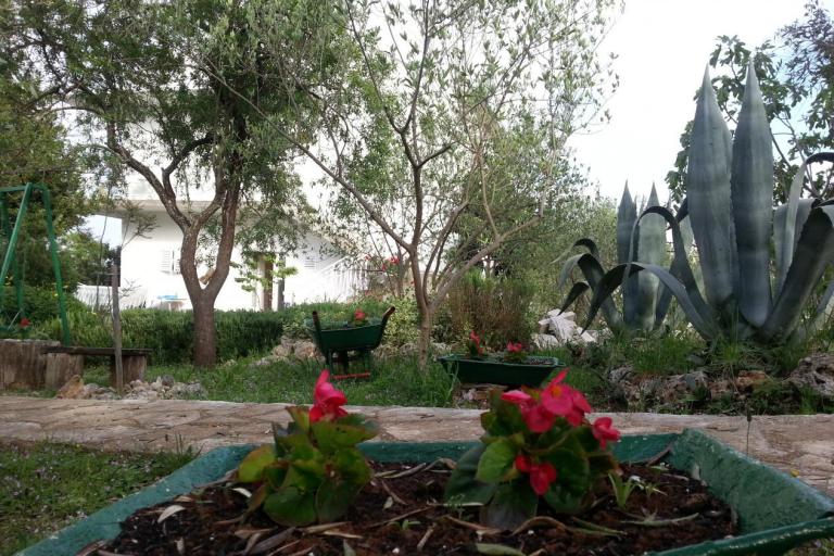 Appartementen Vlado – foto 7