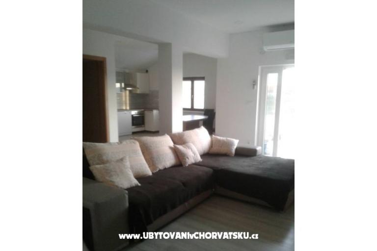 Dalmatian – foto 11