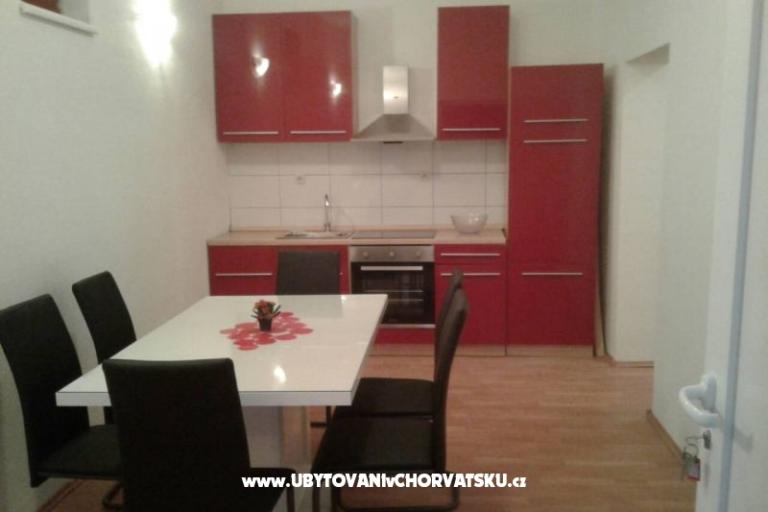 Dalmatian – foto 16
