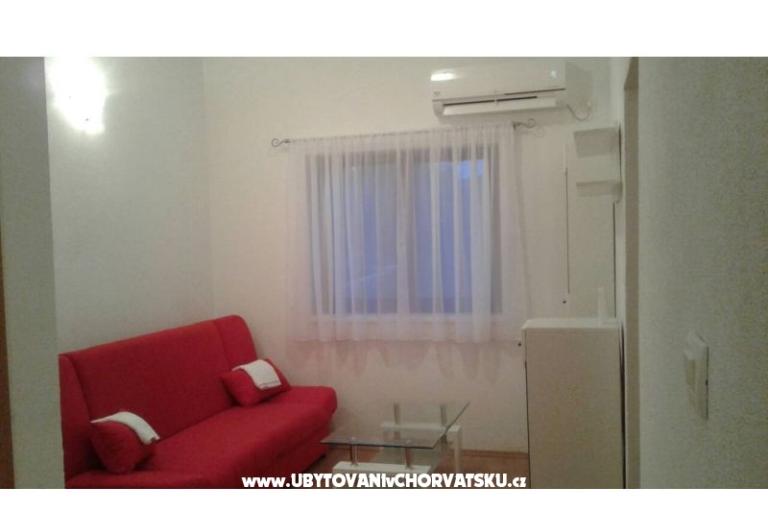 Dalmatian – foto 17