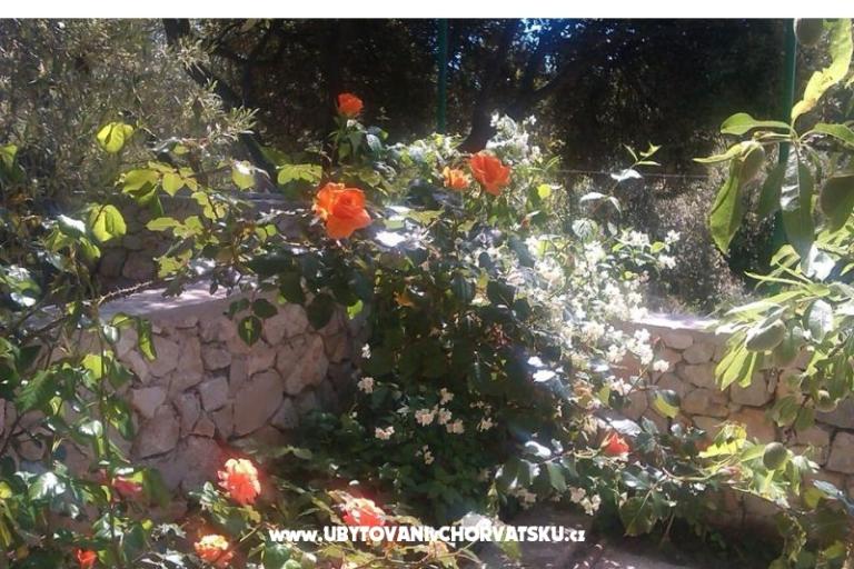 Lavanda Appartement – foto 17