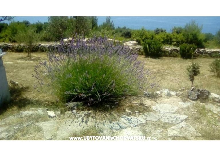 Appartementen Villa Mare – foto 9