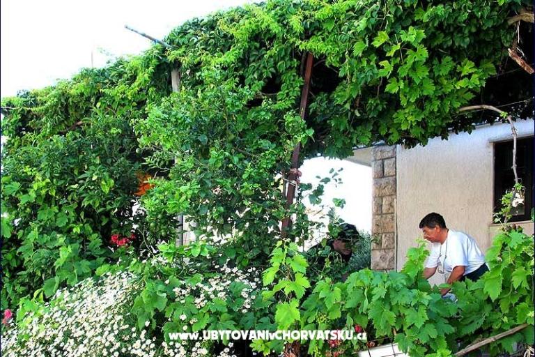 Pensioen Lobrović – foto 8