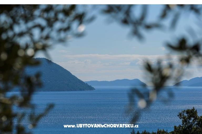 Pensioen Sunce – foto 15