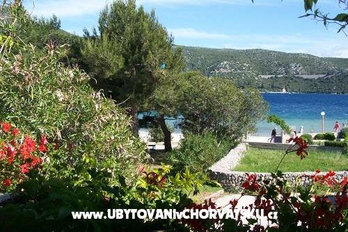 Appartementen POLAČA - Slano – foto 9