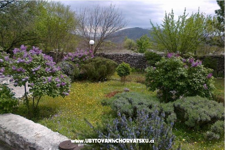 Vakantiehuis Villa Ivo – foto 10