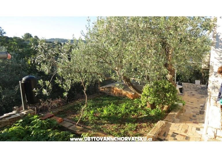 Appartementen Janja – foto 6