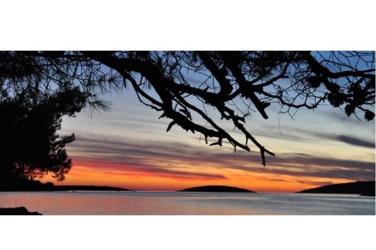 Appartementen Oliva - Otok Šolta – foto 11