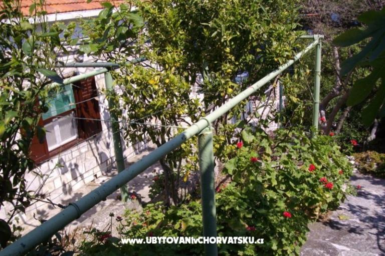 Vakantiehuis Villa Marijeta – foto 4