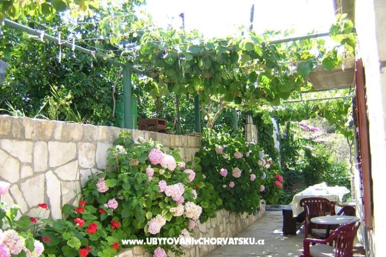 Vakantiehuis Villa Marijeta – foto 5