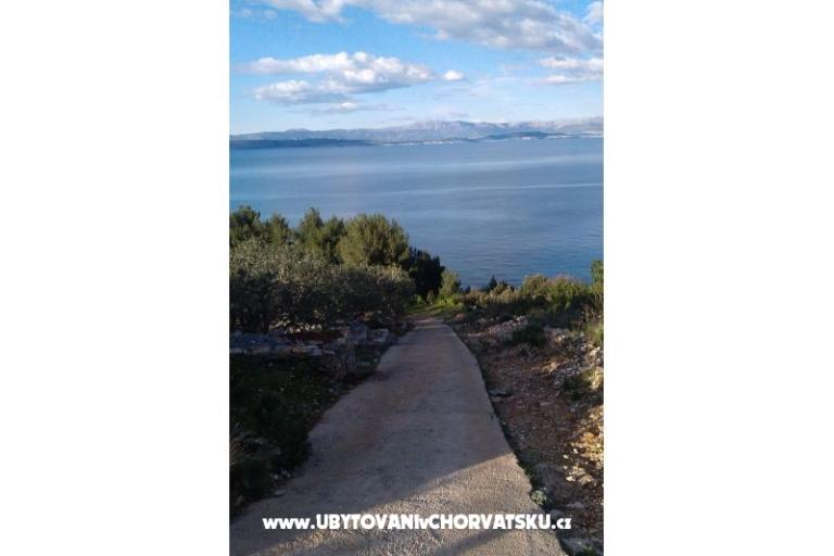 Vakantiehuis Villa Marijeta – foto 7