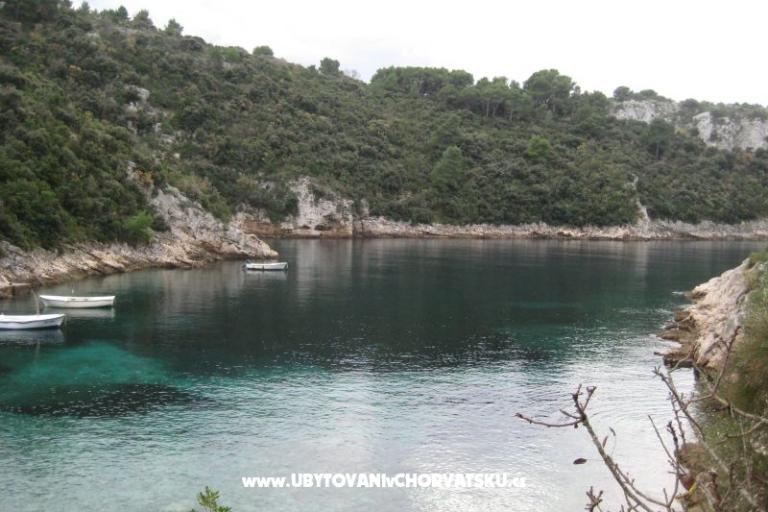 Villa Marija – foto 5