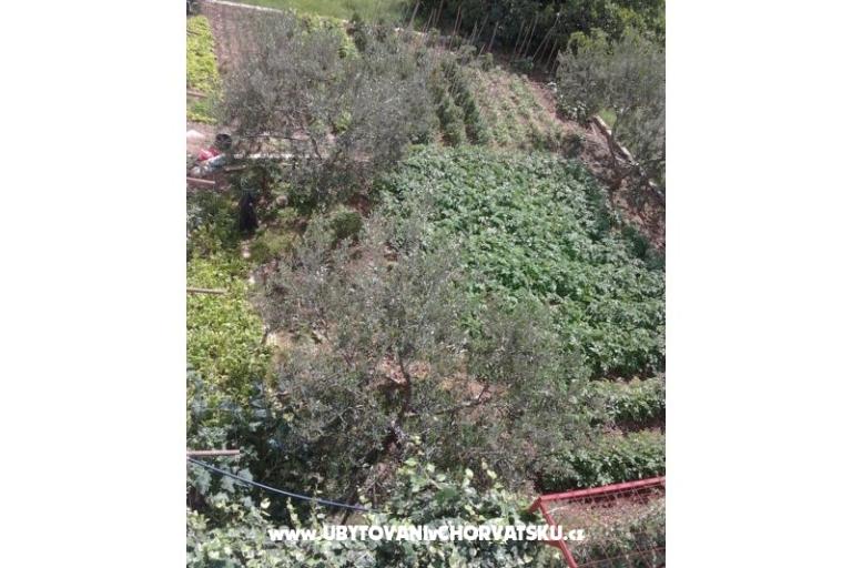 ADRIATIQ Appartementen – foto 16