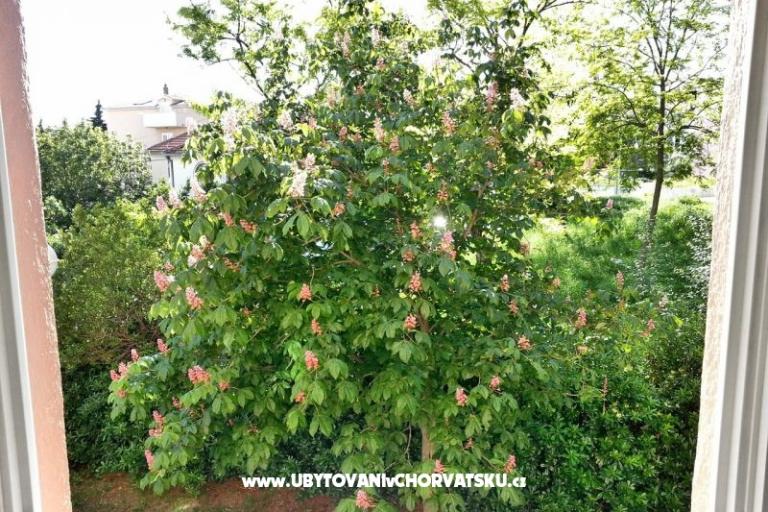 Appartement Bol - Split – foto 4