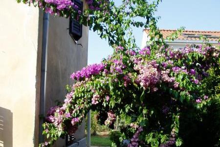 Appartement Nevica – foto 16