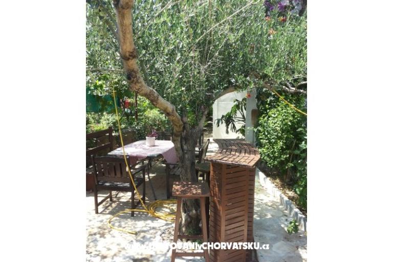 Appartementen SILVA /                  – foto 12
