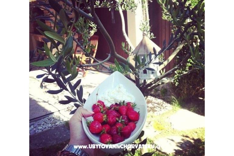 Appartement Dujmovic – foto 4