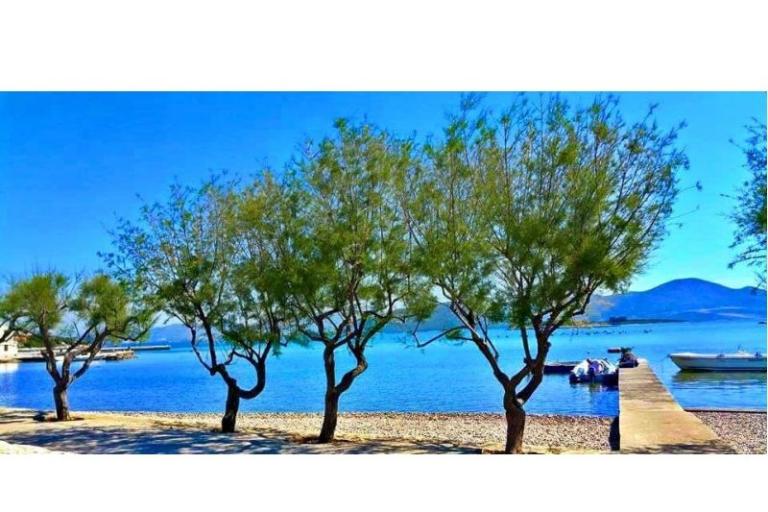 Appartement Ana – foto 12