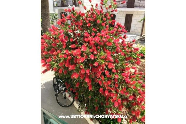 Vila Marijana – foto 10