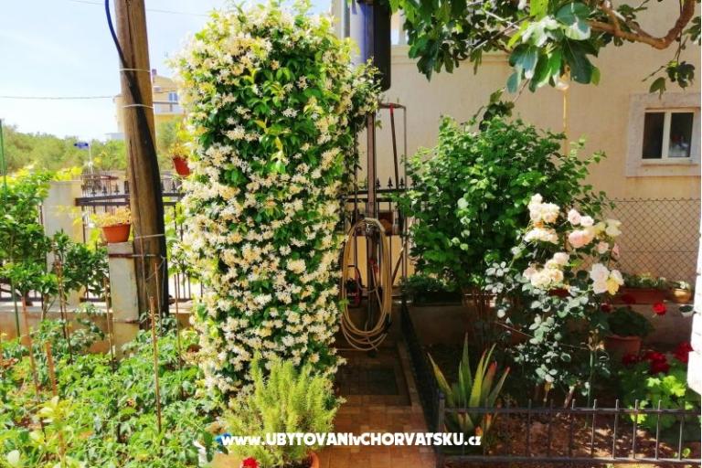 Appartementen Brković – foto 8