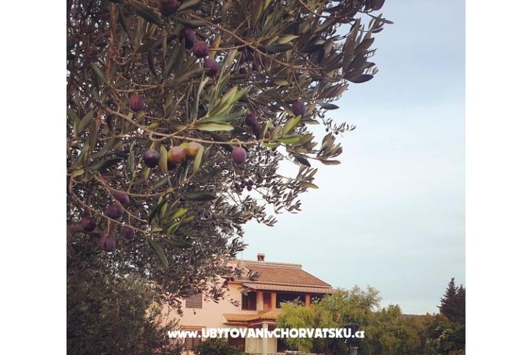 Appartementen DARIO - Sukošan – foto 14