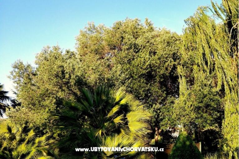 Appartementen DARIO - Sukošan – foto 37