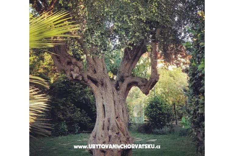 Appartementen DARIO - Sukošan – foto 55