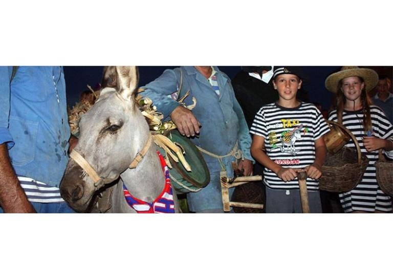 Appartementen Gašparović – foto 13