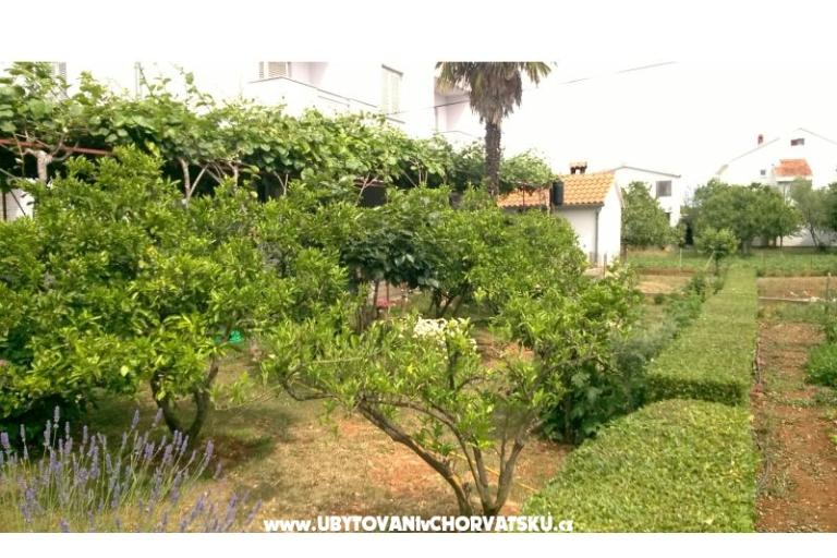 Appartementen Šarić – foto 11