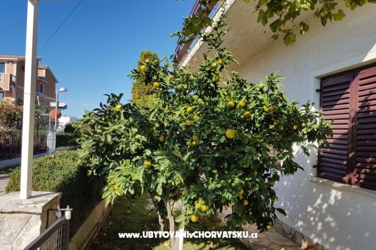 Appartementen Žeger – foto 13