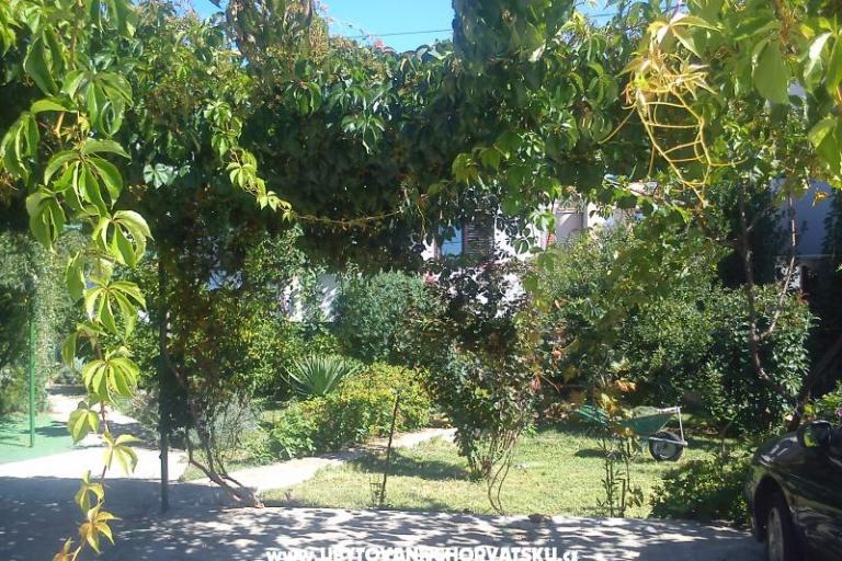 Appartementen Tamara – foto 4