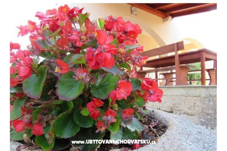 Vakantiehuis Dević – foto 15