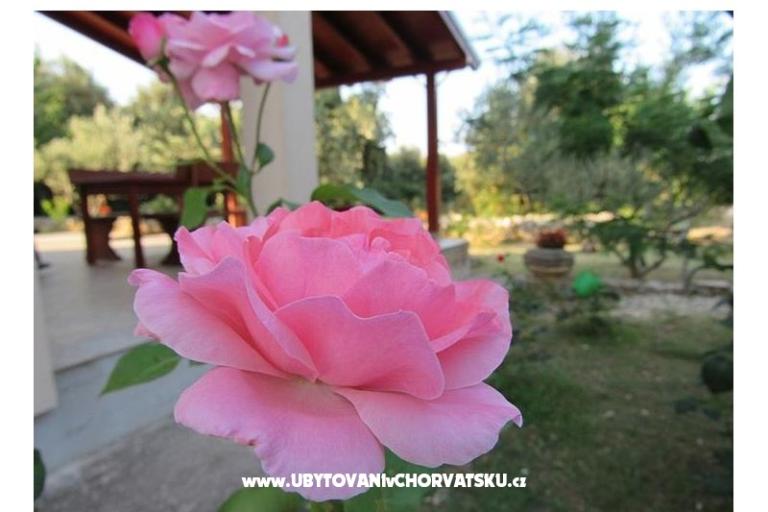 Vakantiehuis Dević – foto 2