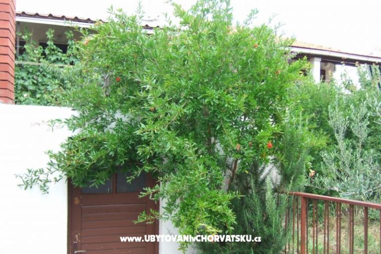 Appartement Lenka – foto 5