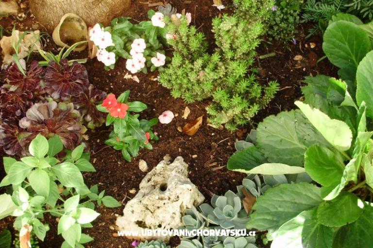 Appartementen Petranic – foto 15