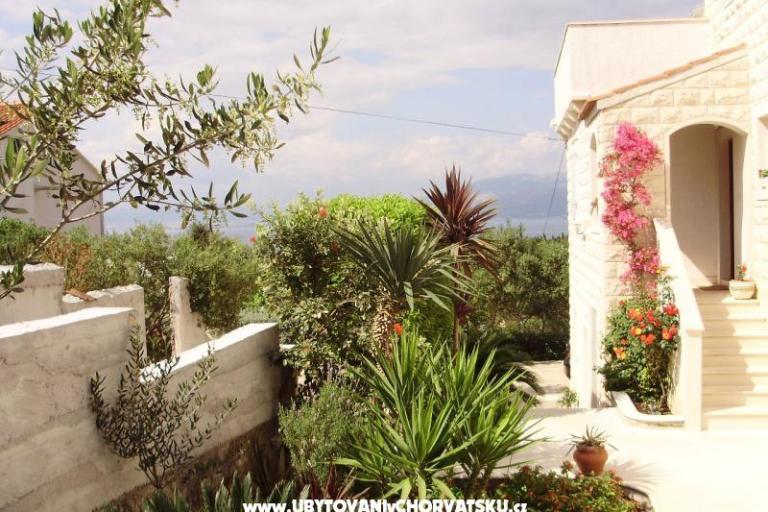 Appartementen Petranic – foto 16