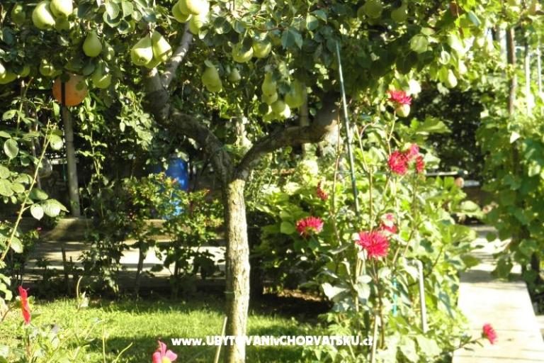 Appartementen Lucija – foto 16