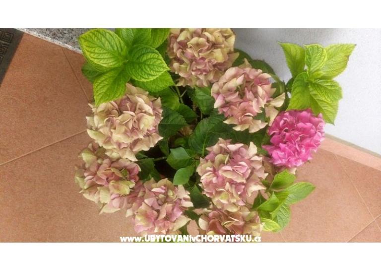 Appartementen Ira – foto 12