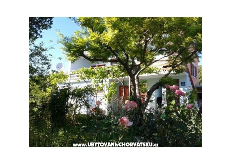 Appartementt Anđelić – foto 2