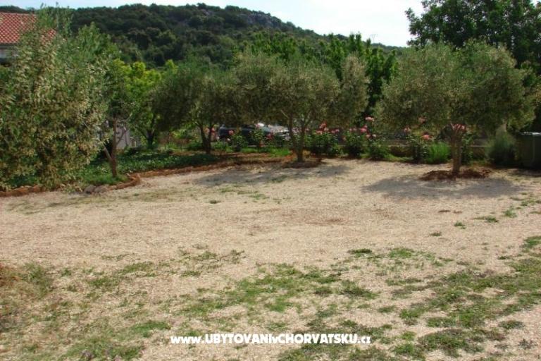 Appartementt Anđelić – foto 5