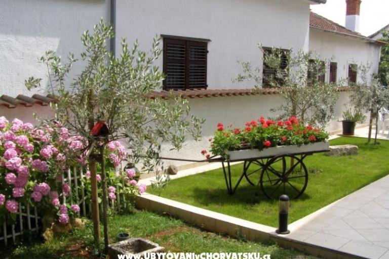 Appartementen Roviš – foto 7