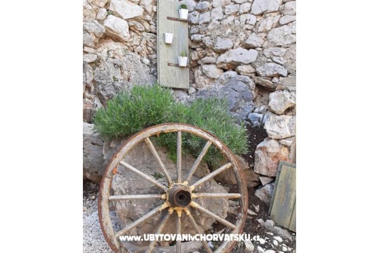 Appartement - kamena kuća  Šparoga – foto 19